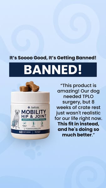 10,000+ Dogs Love Paw Pro Vet