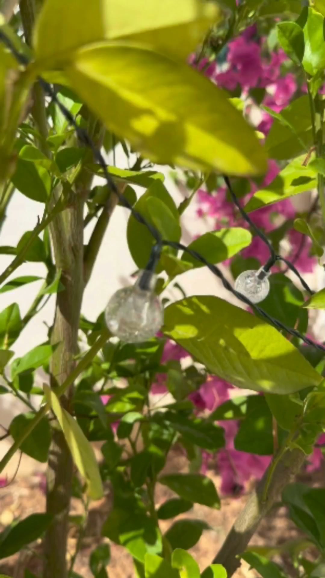 Convierte tu terraza en un rincón mágico