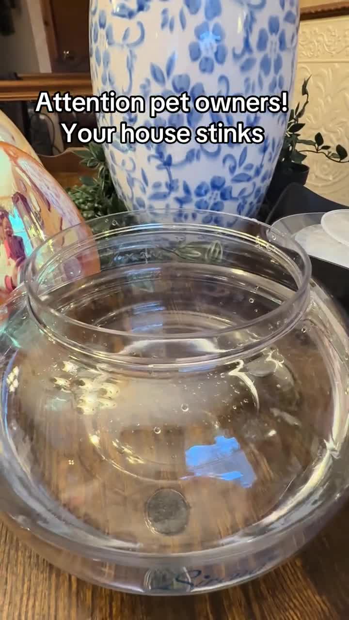 Fresh Air Revitalizer Diffuser