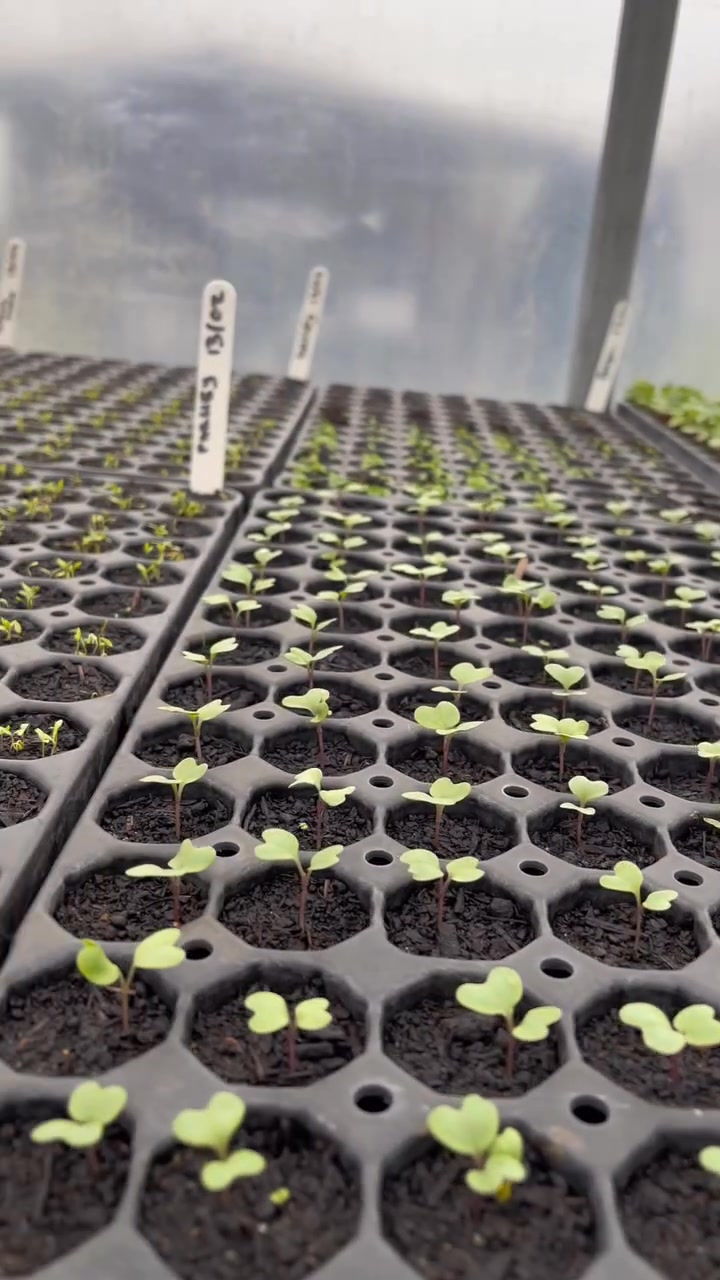 Grow Fresh Food This Spring