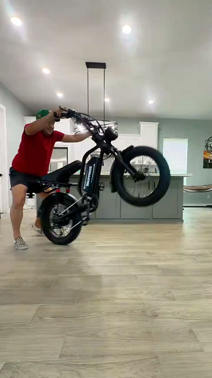Vardren X1 Electric Bike
