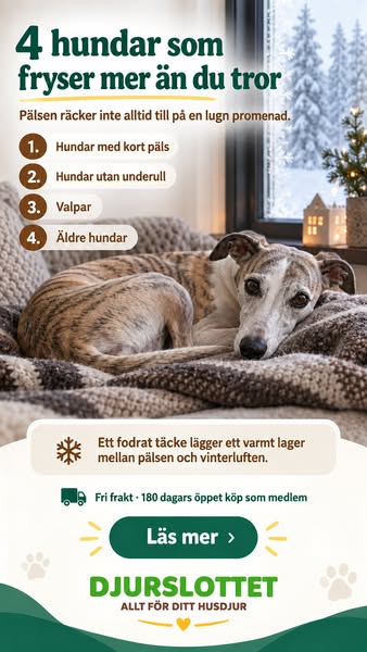 Fryser hunden tidigare än du tror