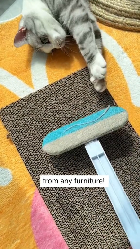 Pet Hair Cleanup, Made Easier