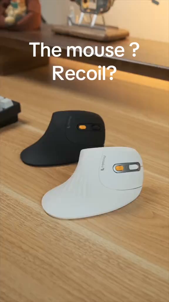 (Rated 4.8/5)