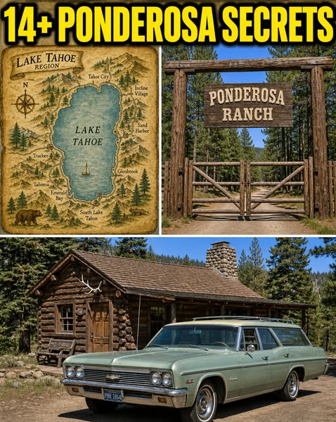 14+ Secrets About The Ponderosa Ranch Only Die-Hards Know