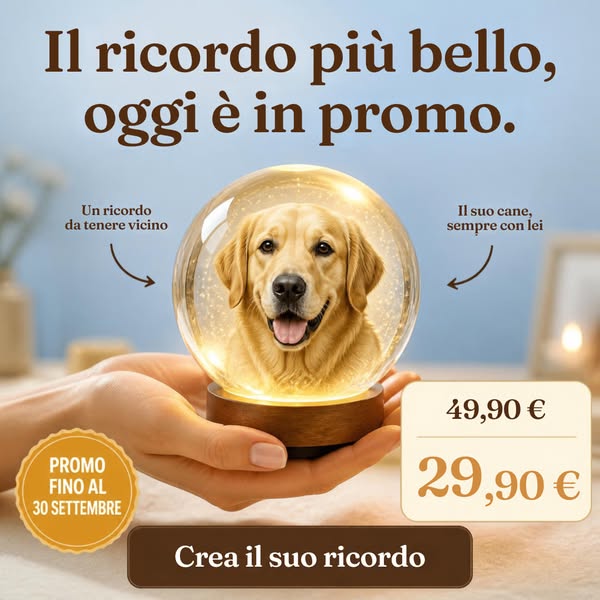 Spedizione Gratuita