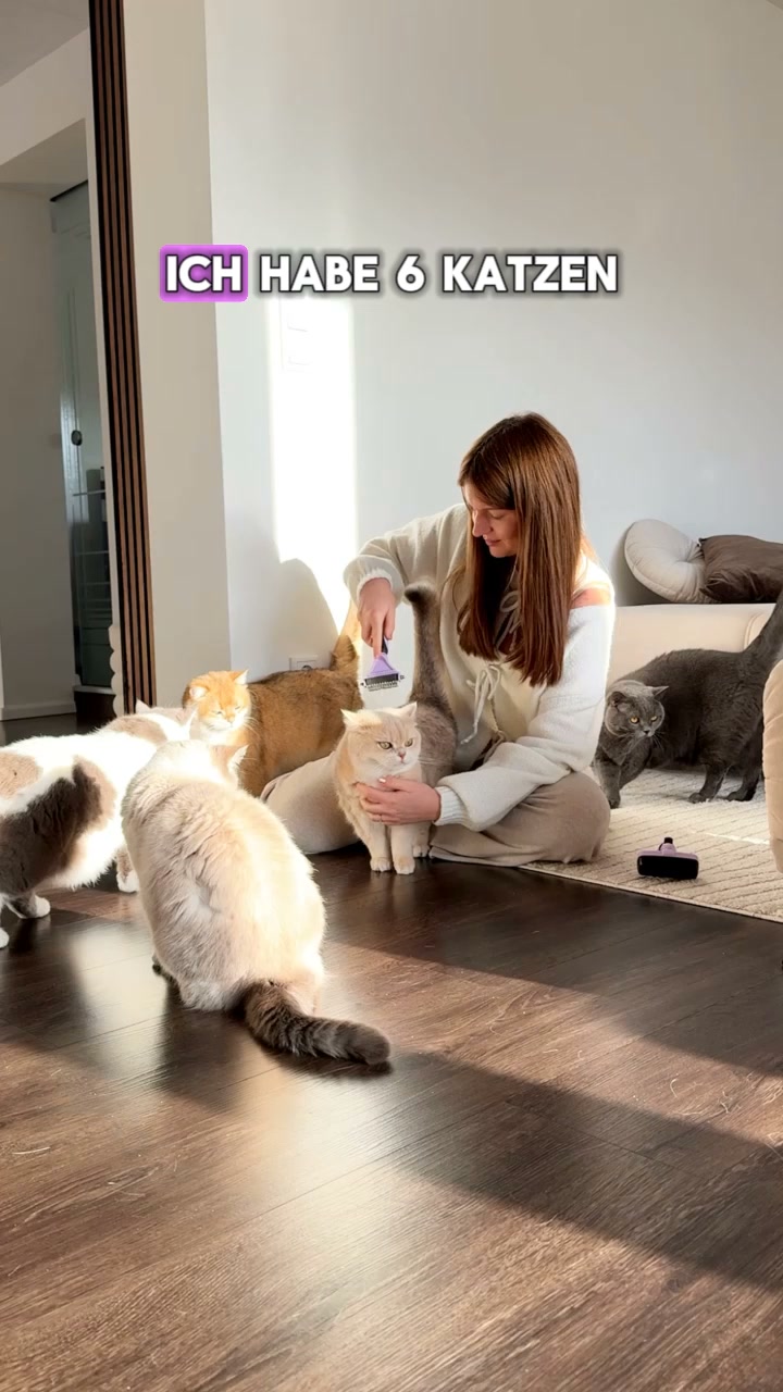 Die Bürste, die deine Katze akzeptiert