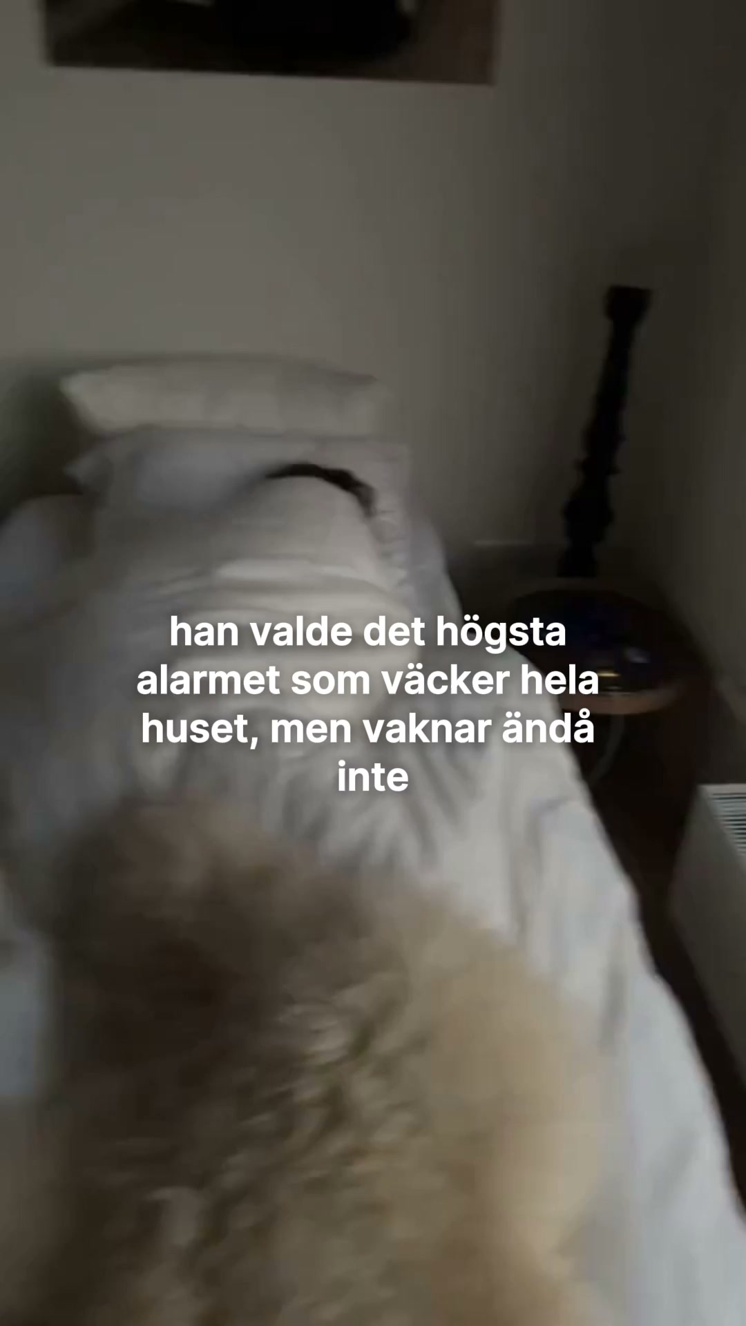 Utvecklad För Djupsovare. Av Djupsovare