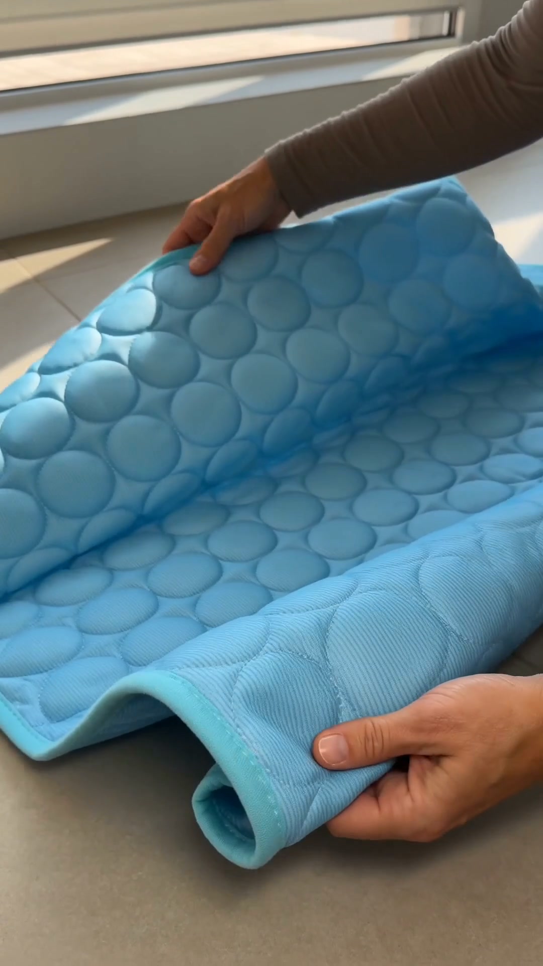 Cool Comfort Wherever Your Dog Goes
