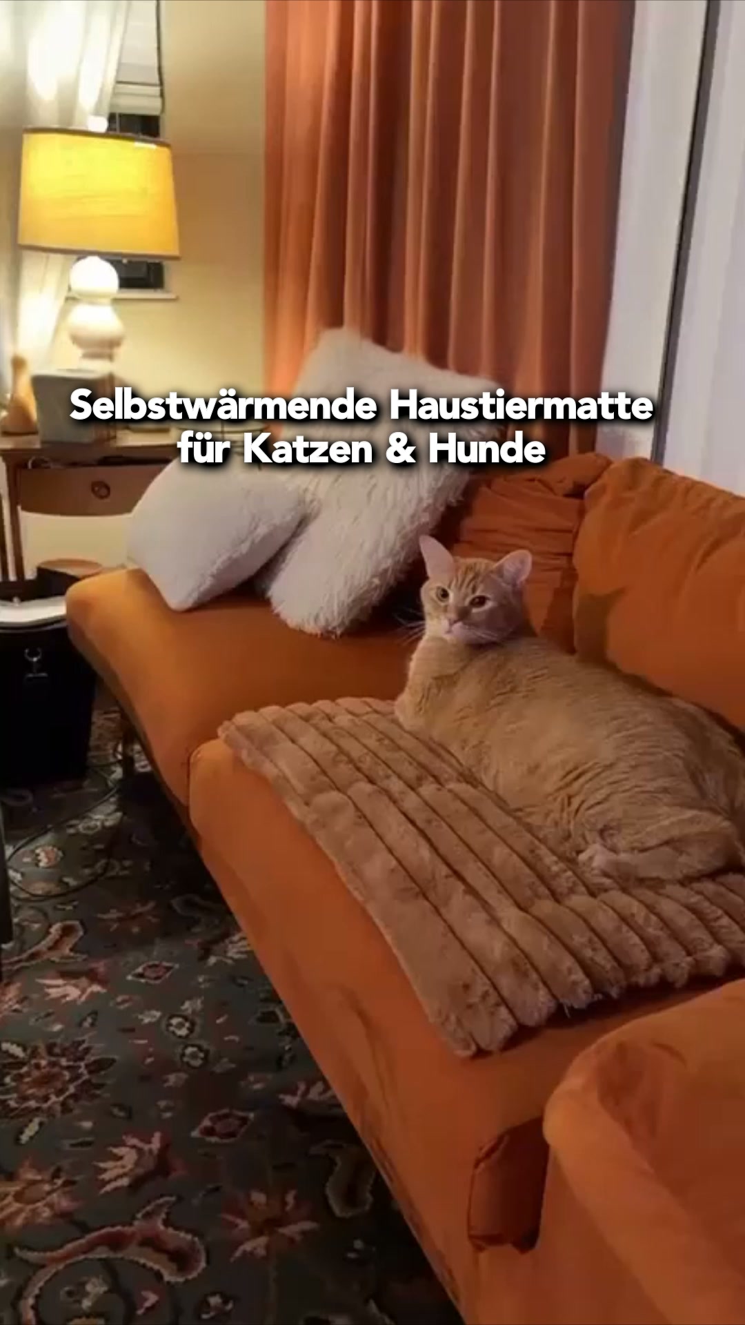 #1 Haustier-Matte