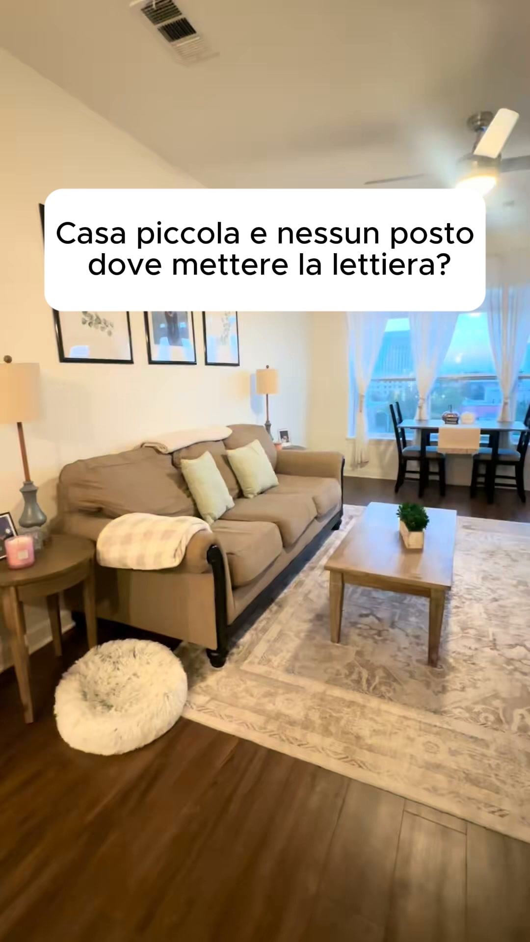 Mai più odore di lettiera