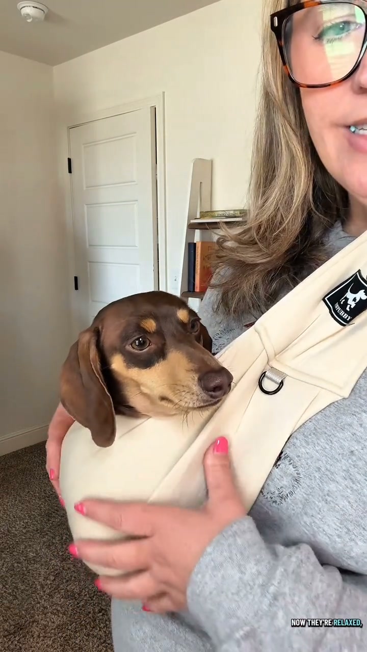 The Pet Sling That Frees Up Both Your Hands on Every Walk