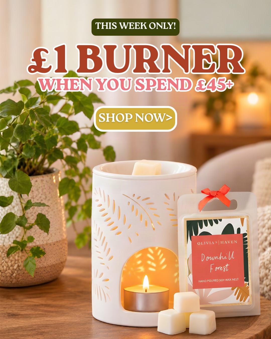 Claim Your £1 Burner!