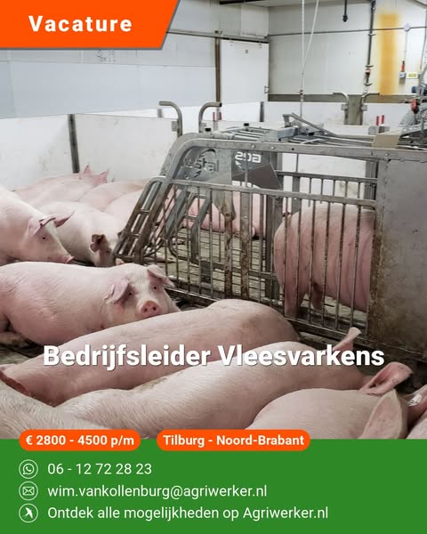 Bedrijfsleider Vleesvarkens | Agriwerker.nl