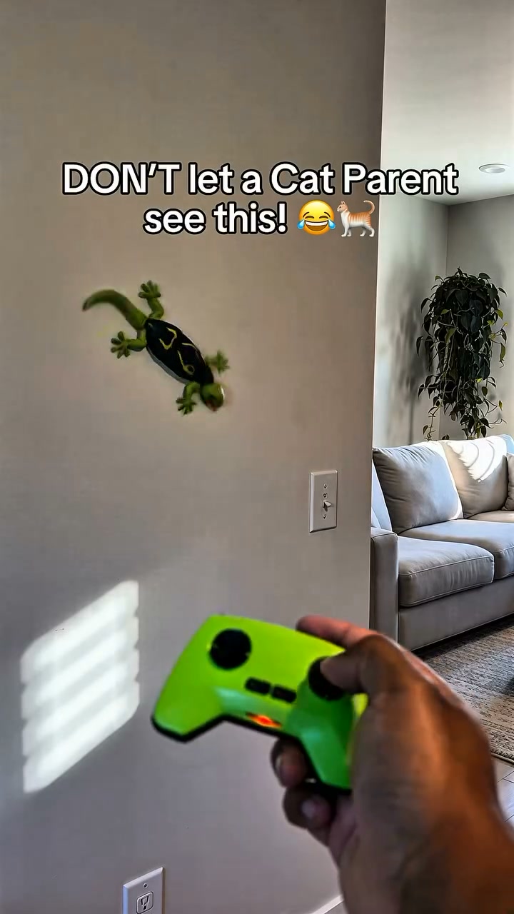 Your Cat Will Actually Play With This