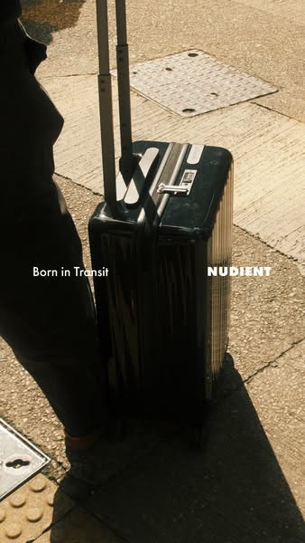 Discover Bold Luggage