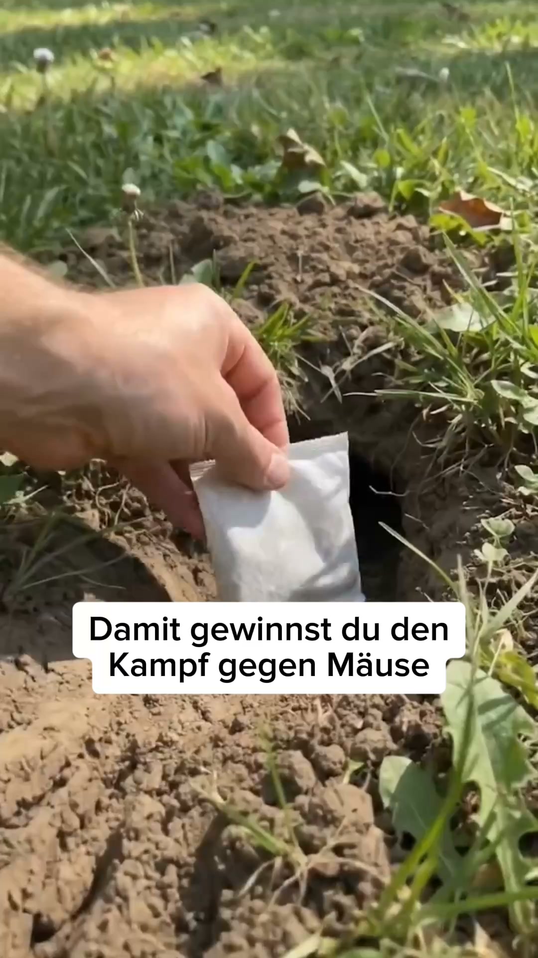 Über 16.000 glückliche Kunden