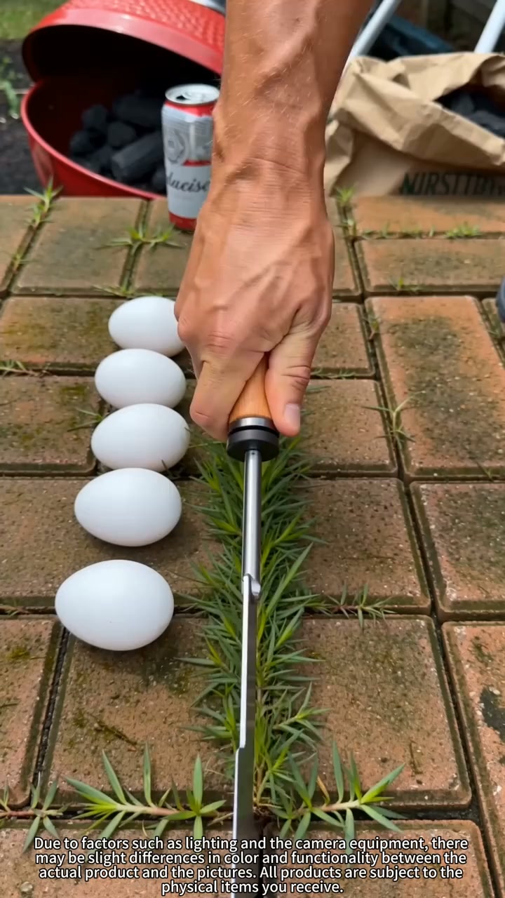 Wooden Handle Crevice Weeder, Stainless Steel Manual Grass Remover for Patio, Pathways & Yards