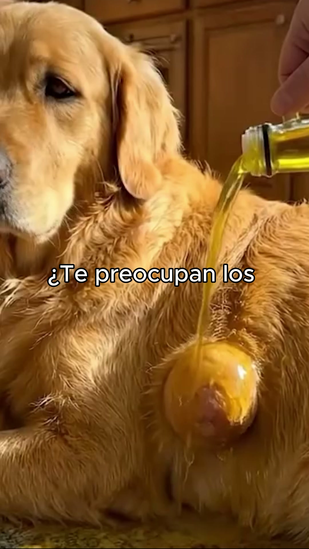 Envío GRATIS en 24/48h