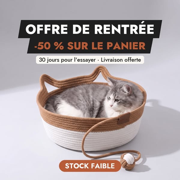 Offre de rentrée : le panier à -50 %