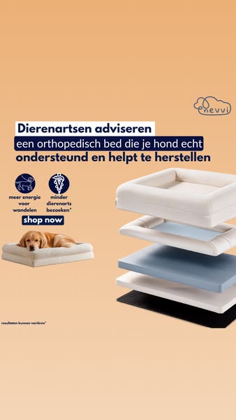 Nu 20% korting + 4 gratis cadeaus