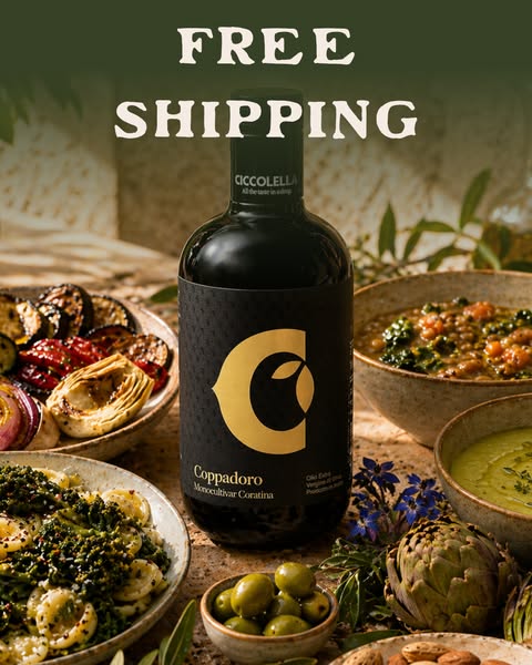 Free Shipping on All Orders