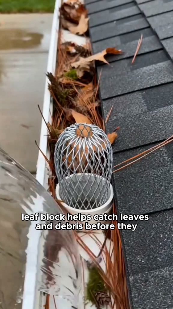 Stop Gutter Clogs Before They Start