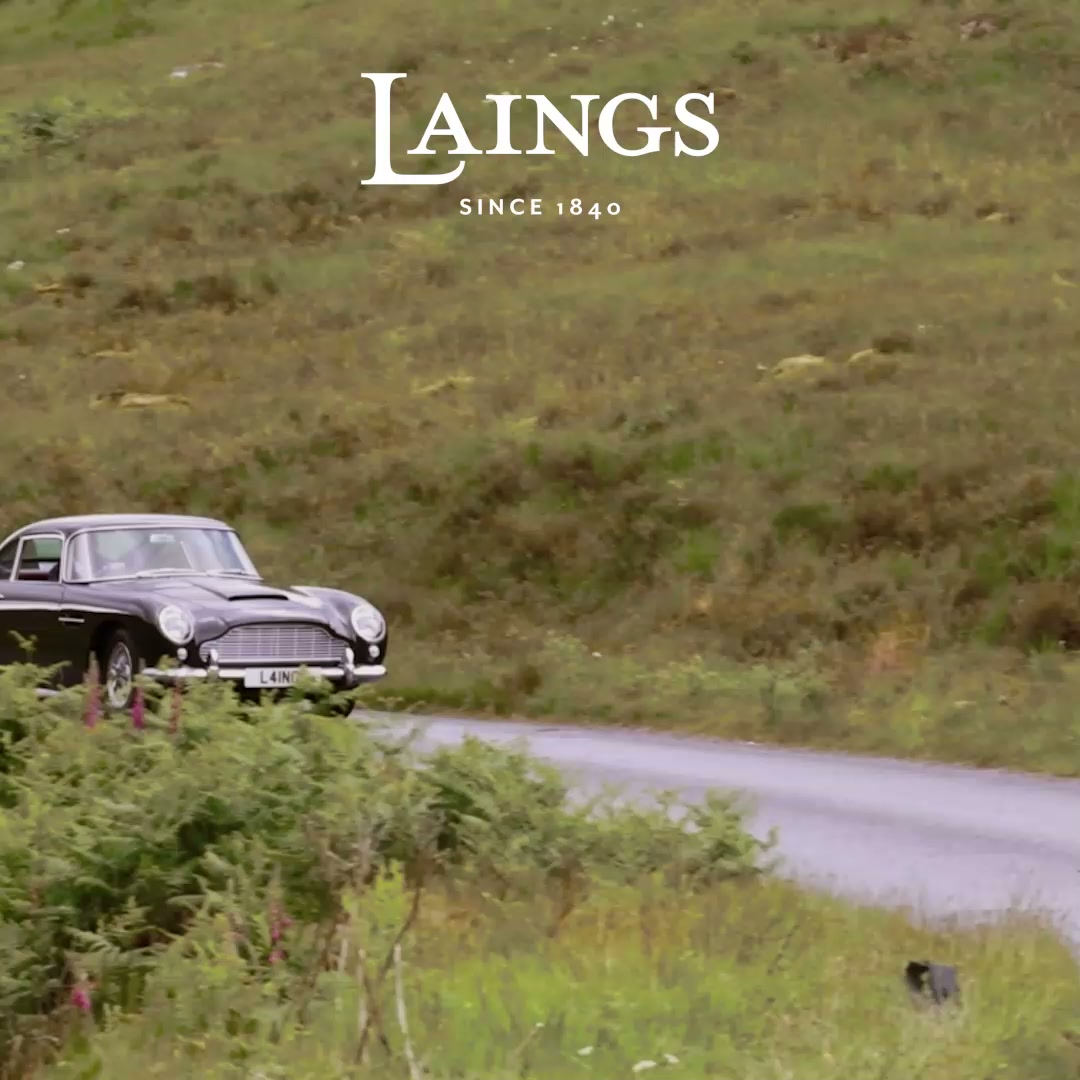 Explore Our Collections