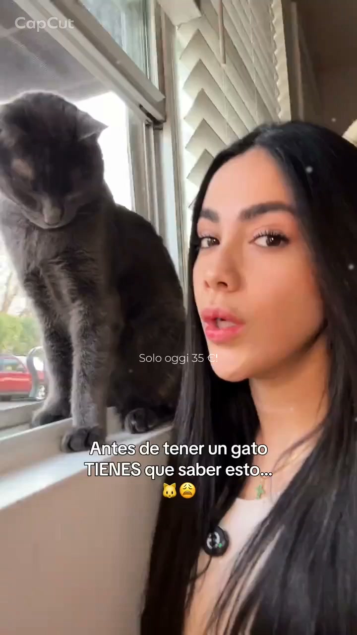 Anúncio de Slesigre Jeltrina