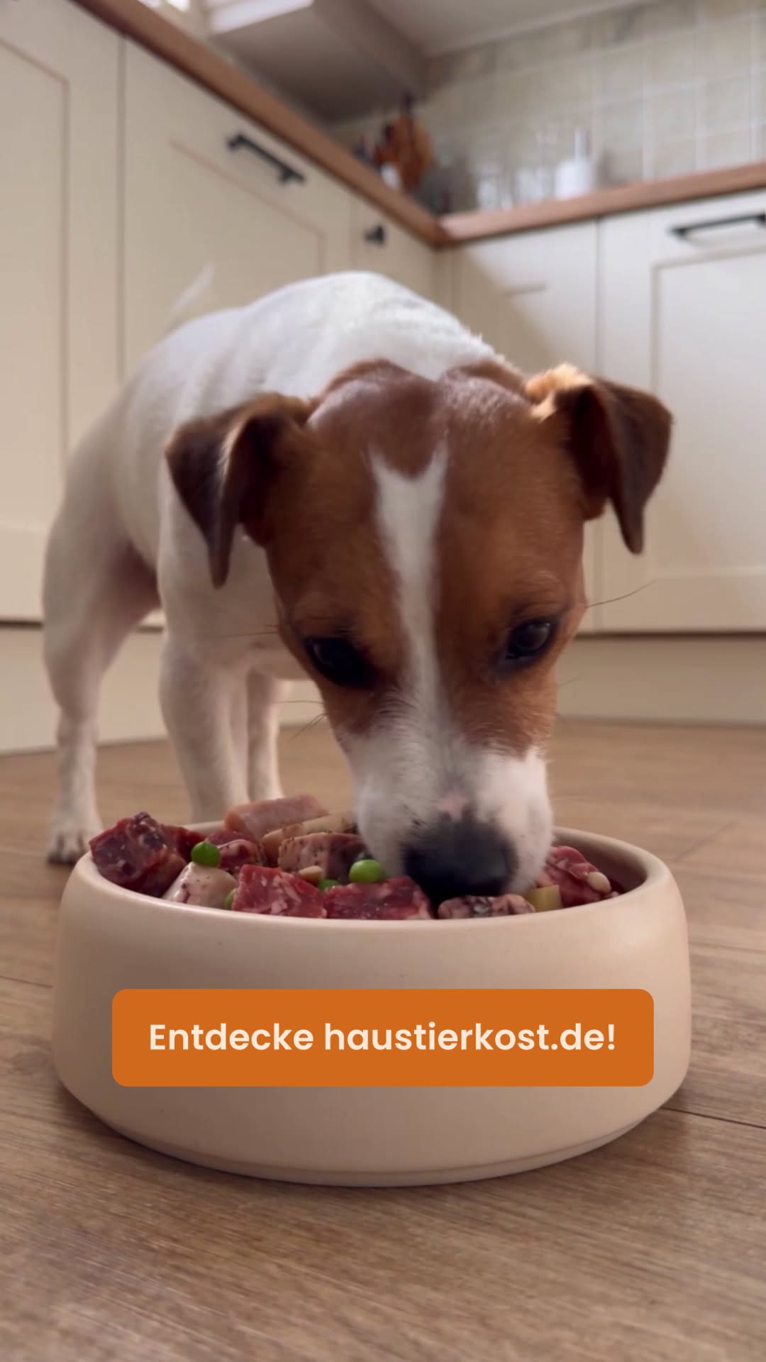 Futter, dem du vertrauen kannst