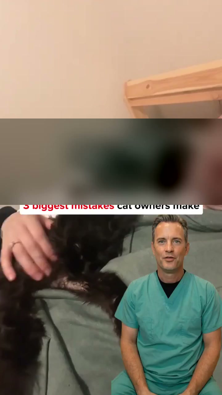 Un vétérinaire dit la vérité