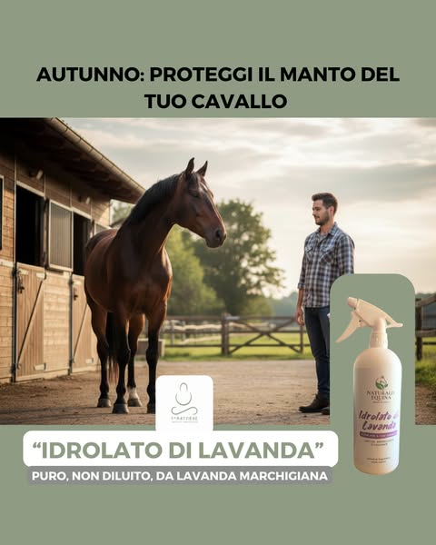 Proteggi il manto del tuo cavallo