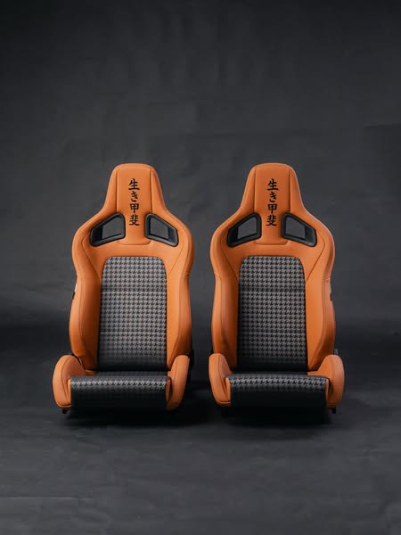 Recaro seats - CarBone
