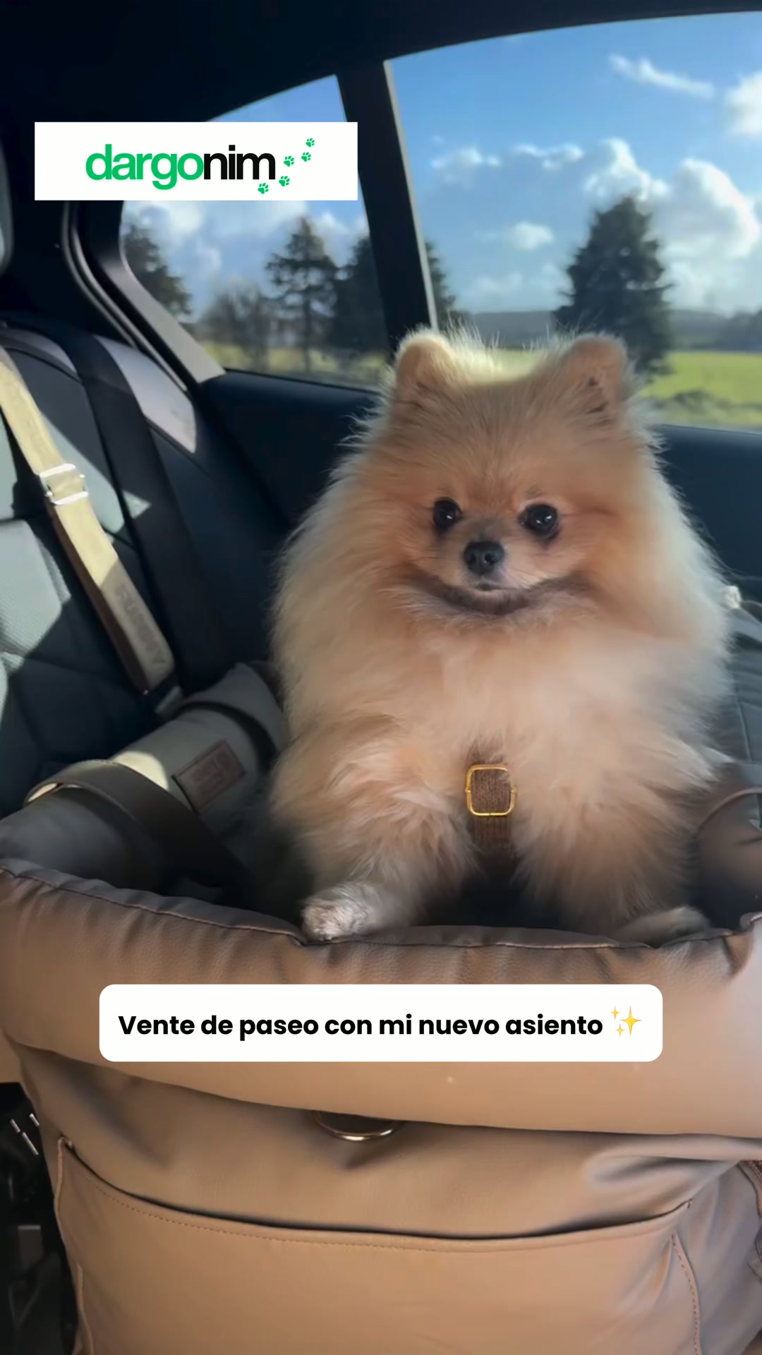 Su sitio en el coche, por fin