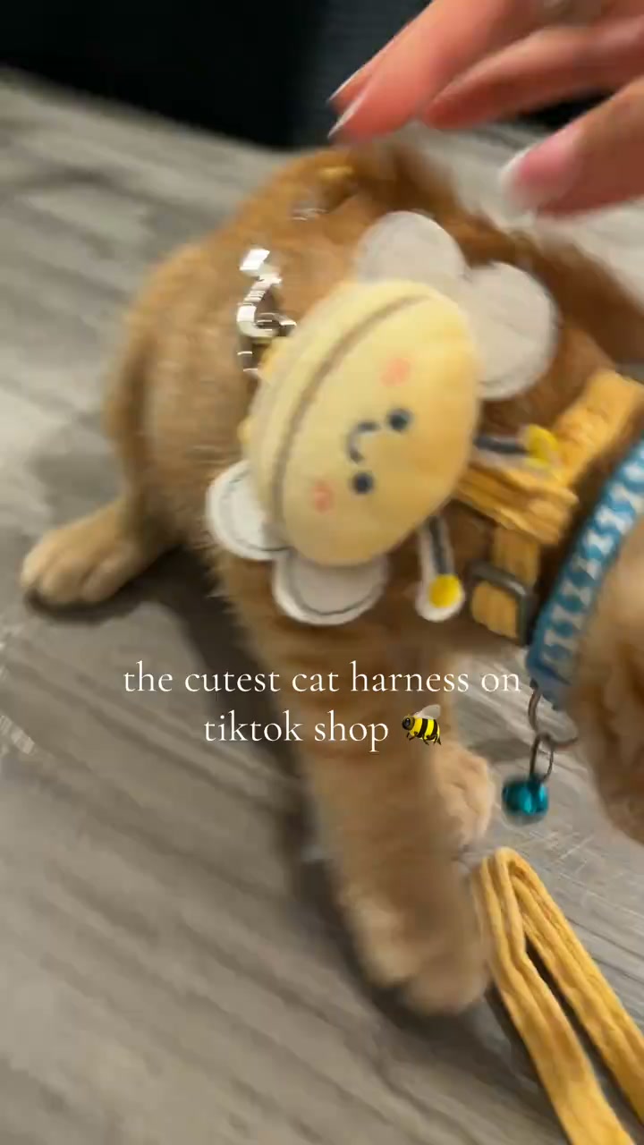 Anúncio de Zintlo Pets