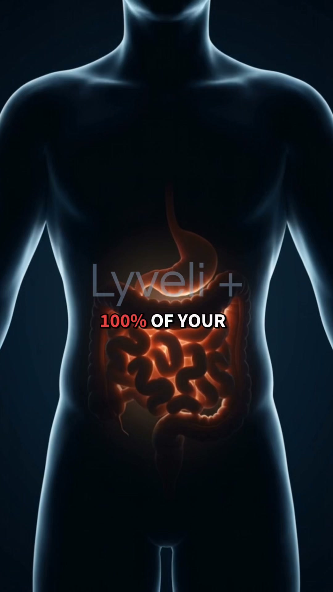 The Natural & Pure Solution for Gas, Odor & Acid Reflux!