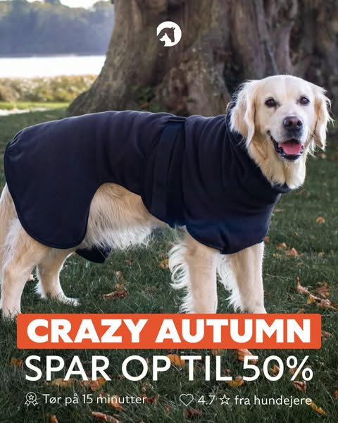 CRAZY AUTUMN: Spar op til 50% på Siccaro.dk