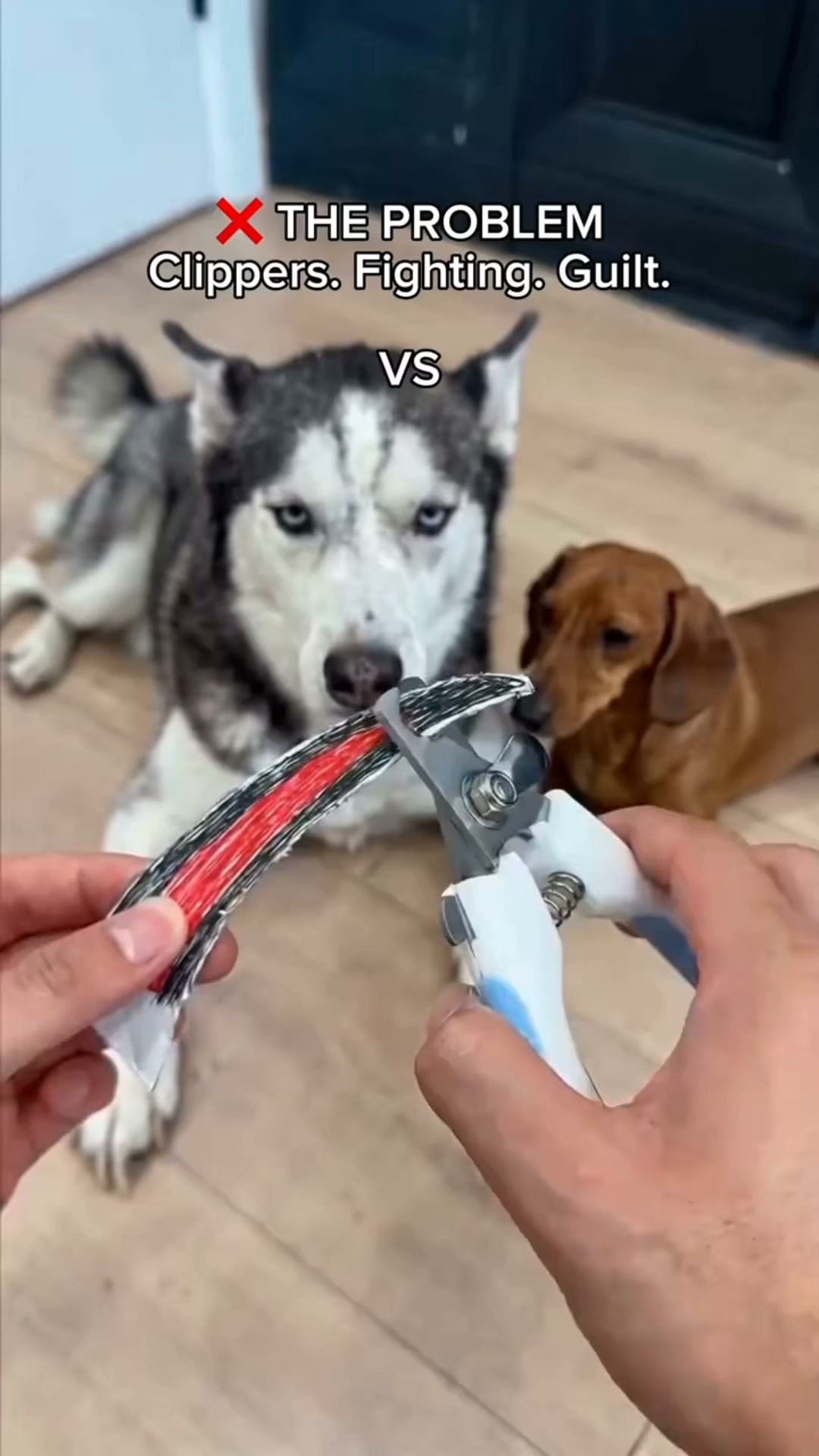PawSerene Calm Nail Board