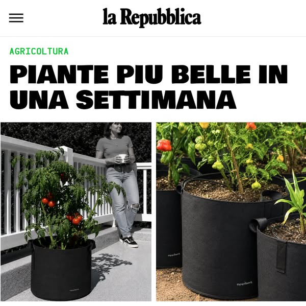 Belli, resistenti, e le mie piante non hanno mai retto meglio