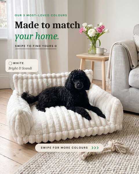Amantra Pets