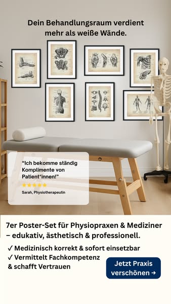 7 Anatomie-Poster für Ihre Praxis