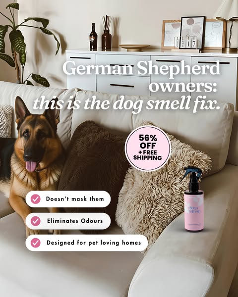 My secret to a smell free home