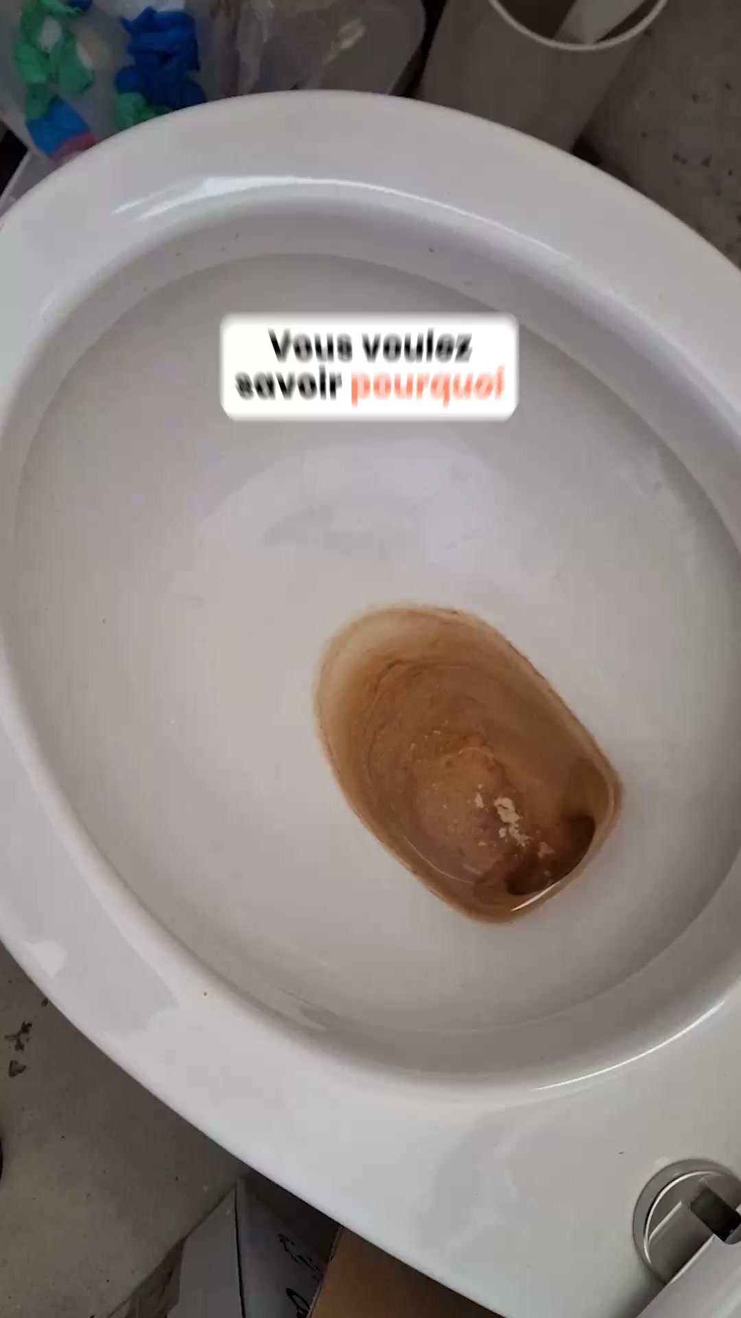 40% sur le Pack Découverte