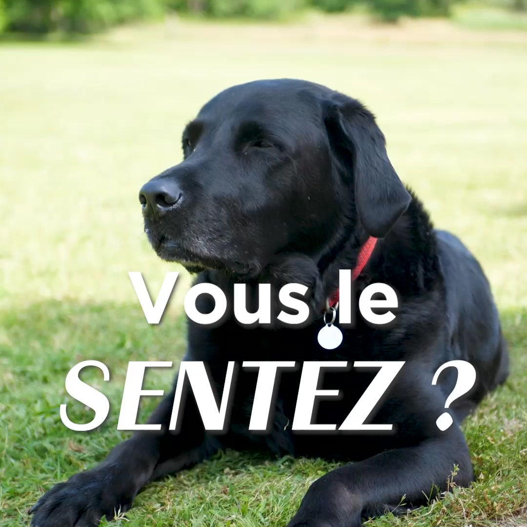 Des produits de grande qualité