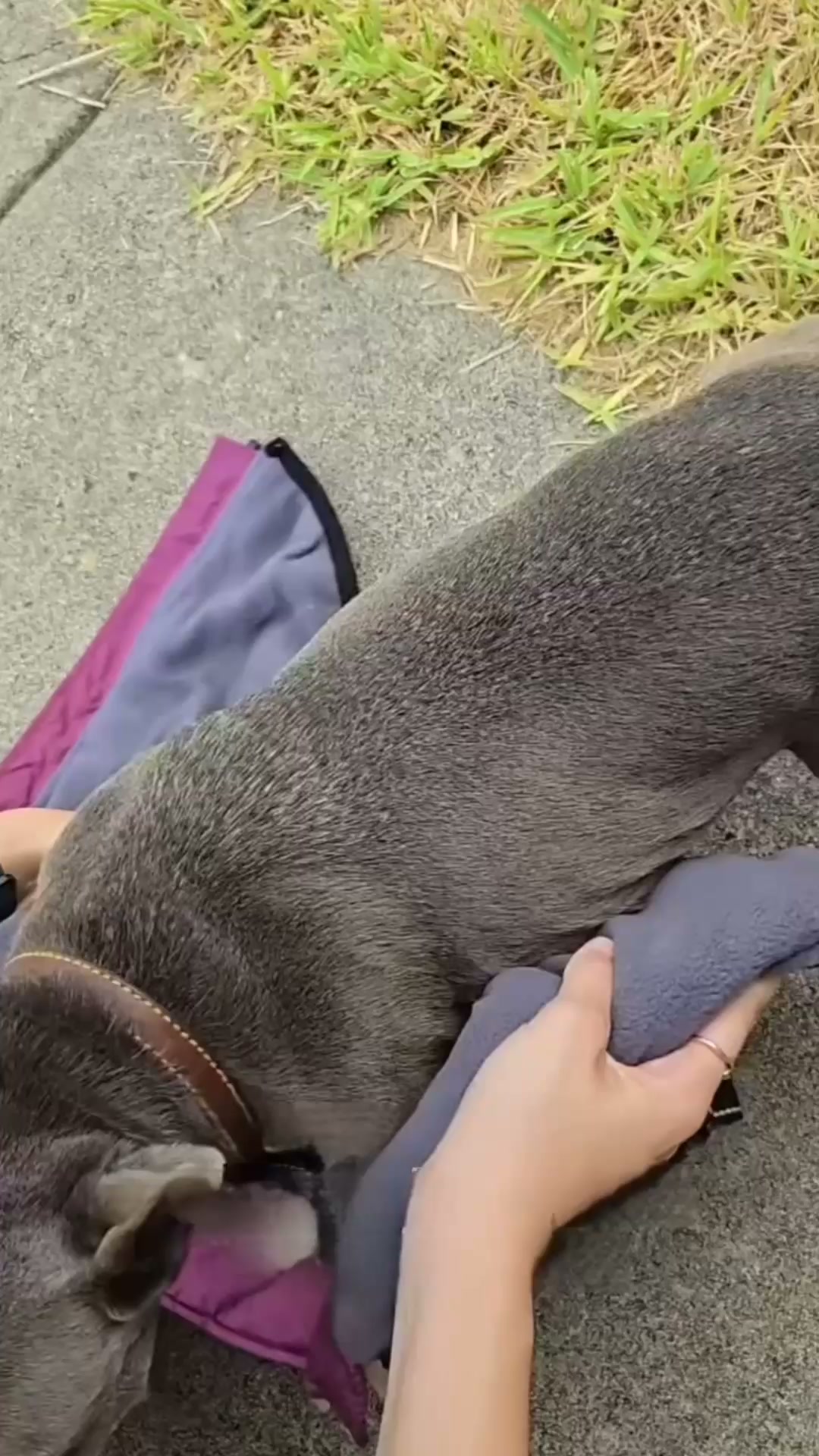 Inget väder stoppar er promenad