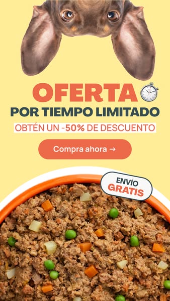 COMPRA HOY -50%