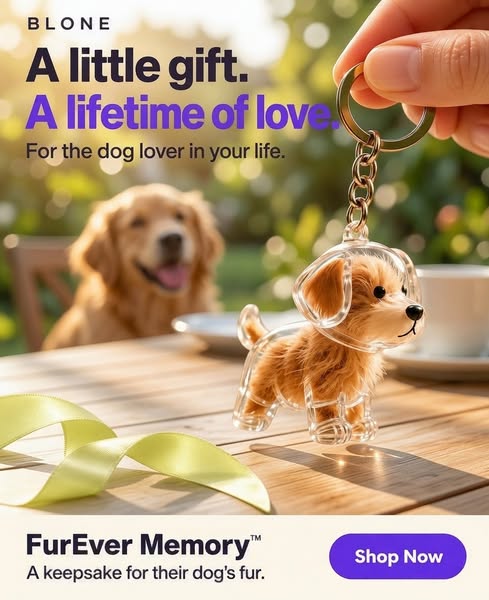 #1 Pet Memory