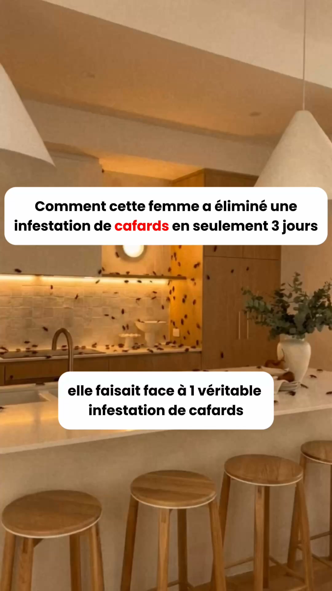 Dormez sans punaises ou remboursé