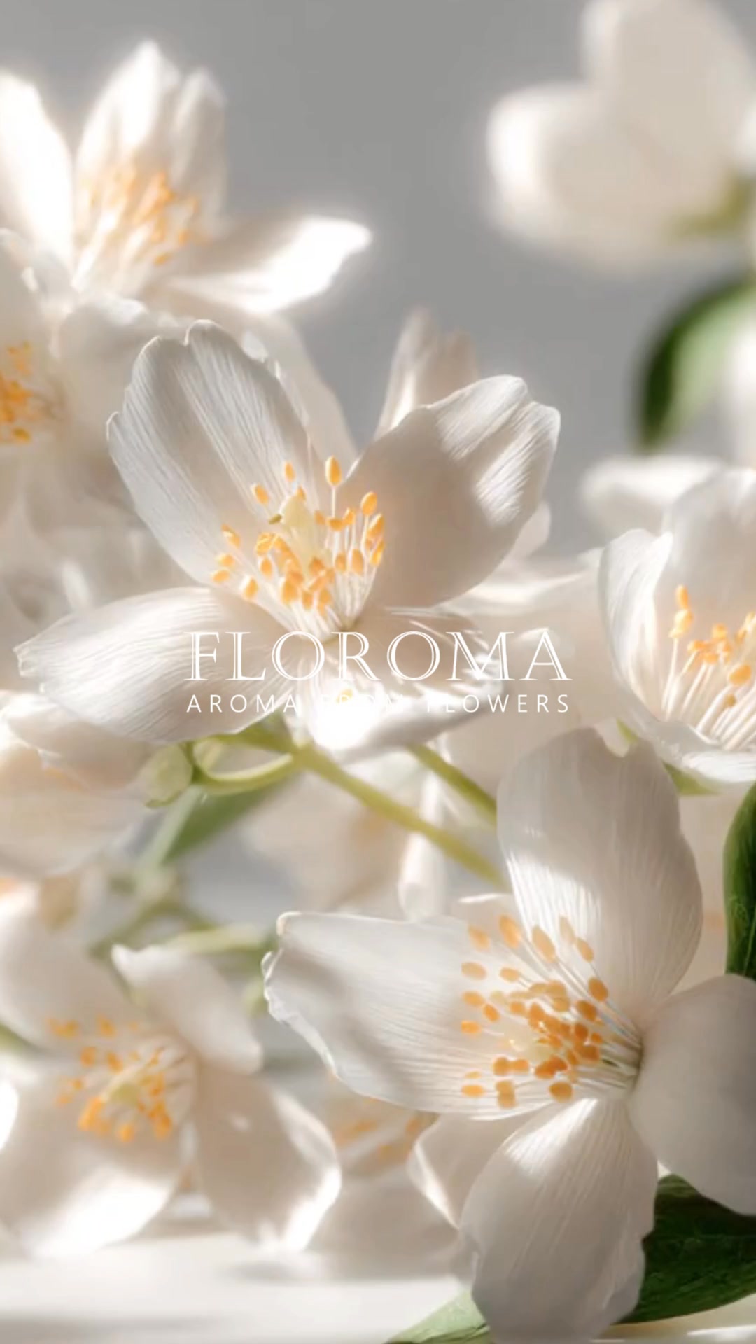 FLOROMA Jasmine Perfume Free shipping