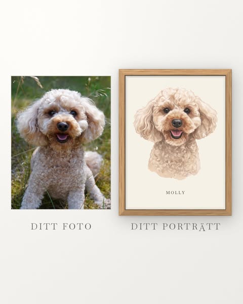 Ditt foto blir ett inramat porträtt